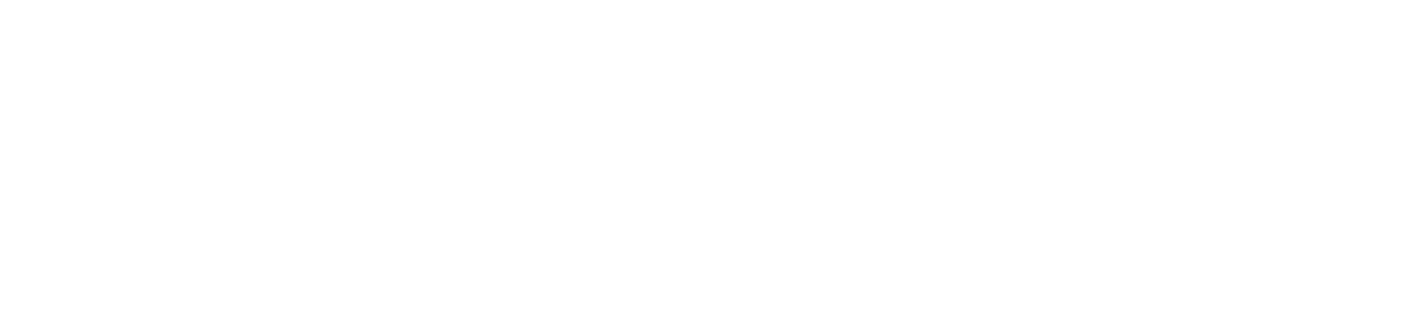 GYEON Certified Detailer